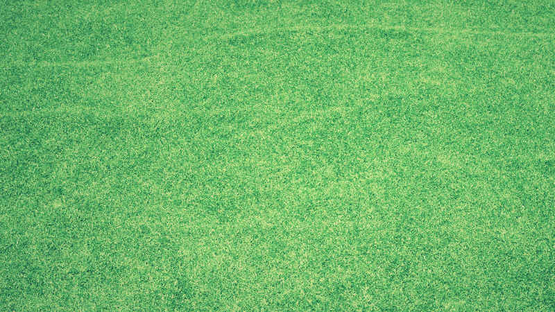 Grün - Wandgestaltung Farbe im Schlafzimmer