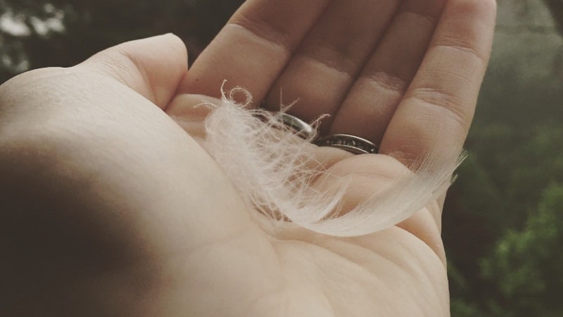 Federn bieten eine optimale Wärmeisolierung