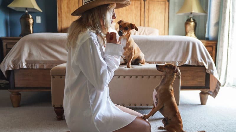 Hunde im Schlafzimmer können Trost un Geborgenheit schenken