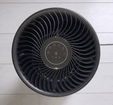 Animated GIF-original