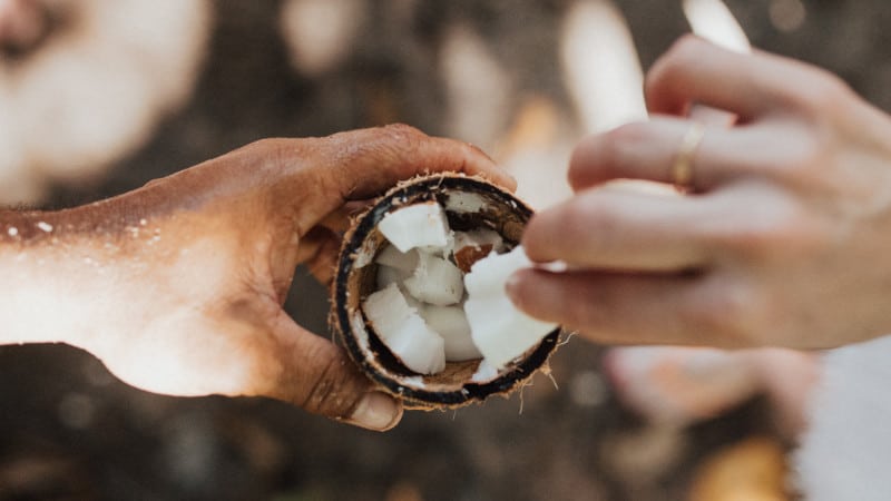Kokosöl enthält fast nur mittelkettigen Fettsäuren