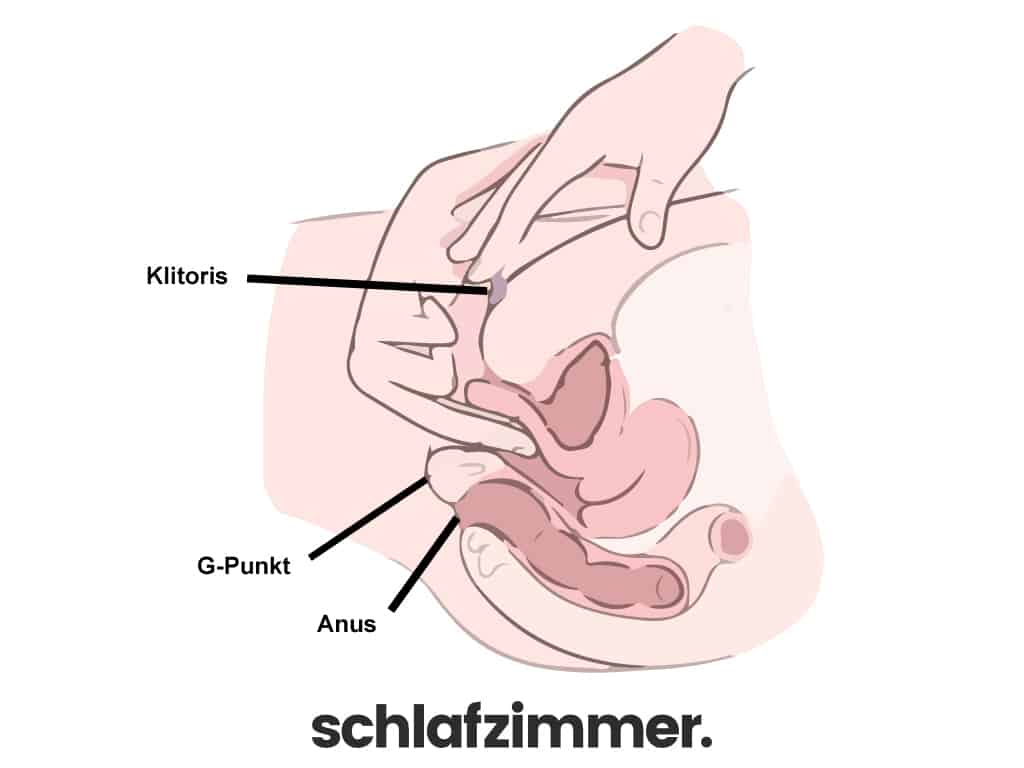 Clitoris Stimulieren Clitoris Stimulieren