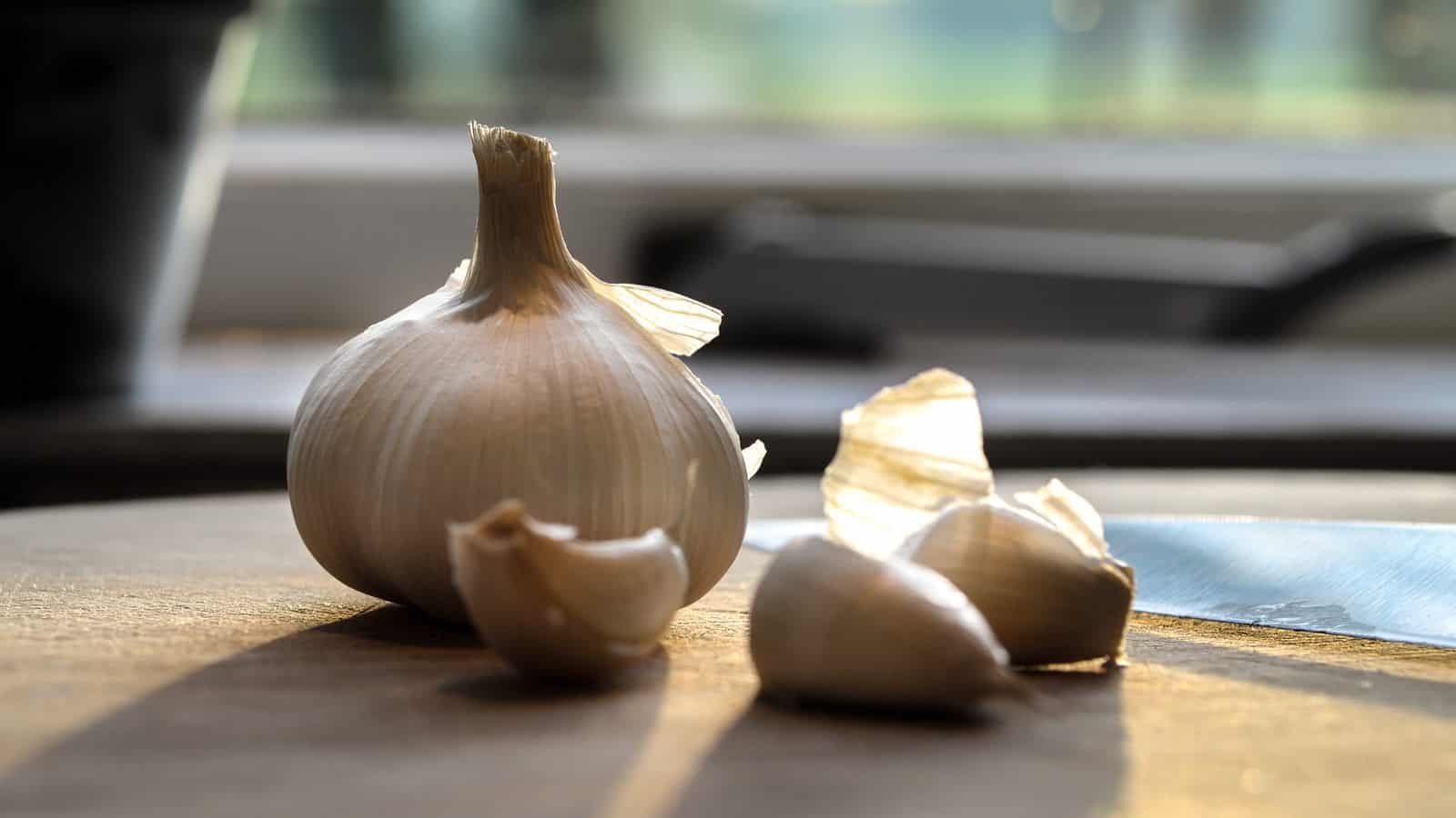 Vorteile der Verwendung von Knoblauch gegen Haarausfall