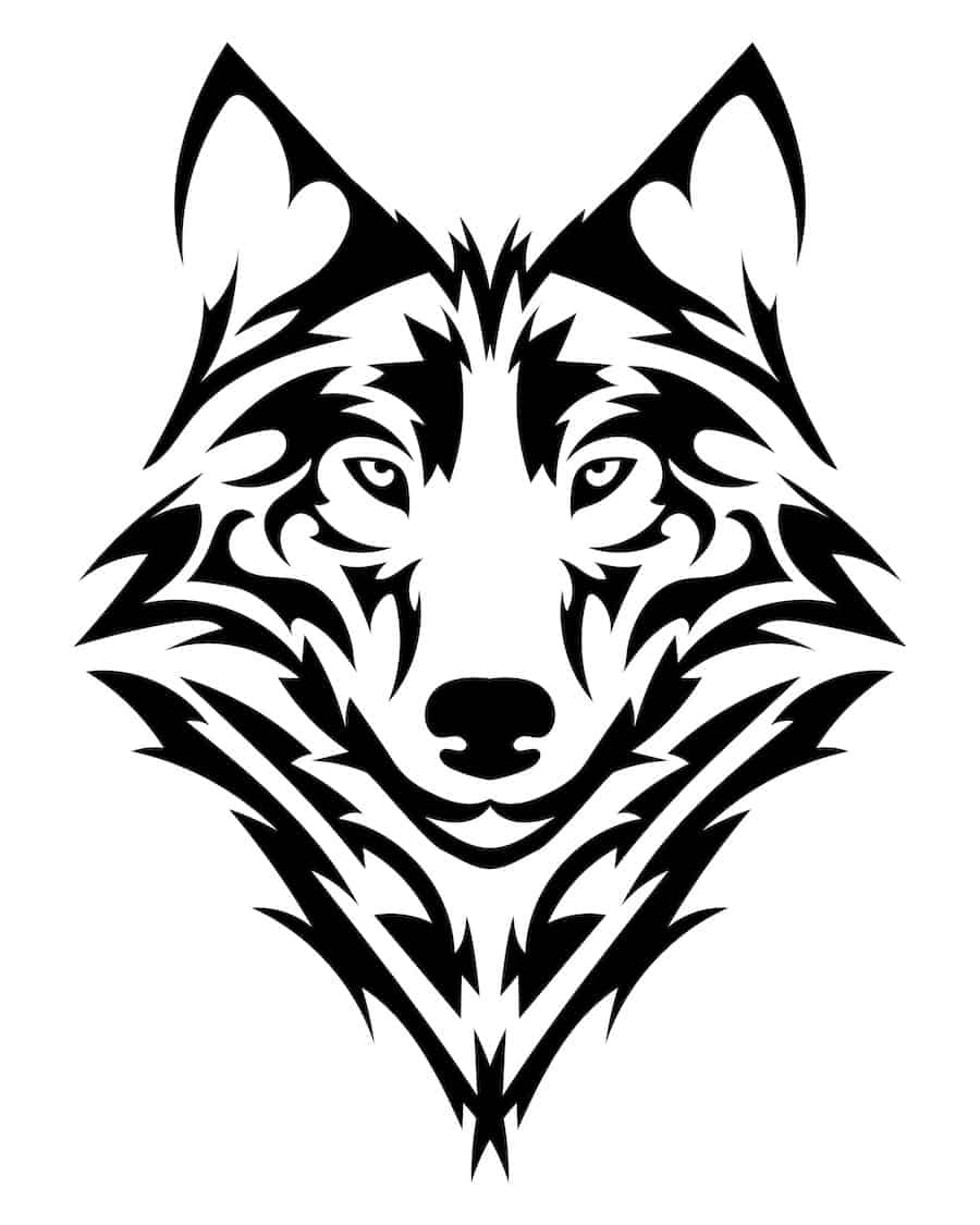 Wolfskopf Tattoo Vorlage Malvorlagen Gratis