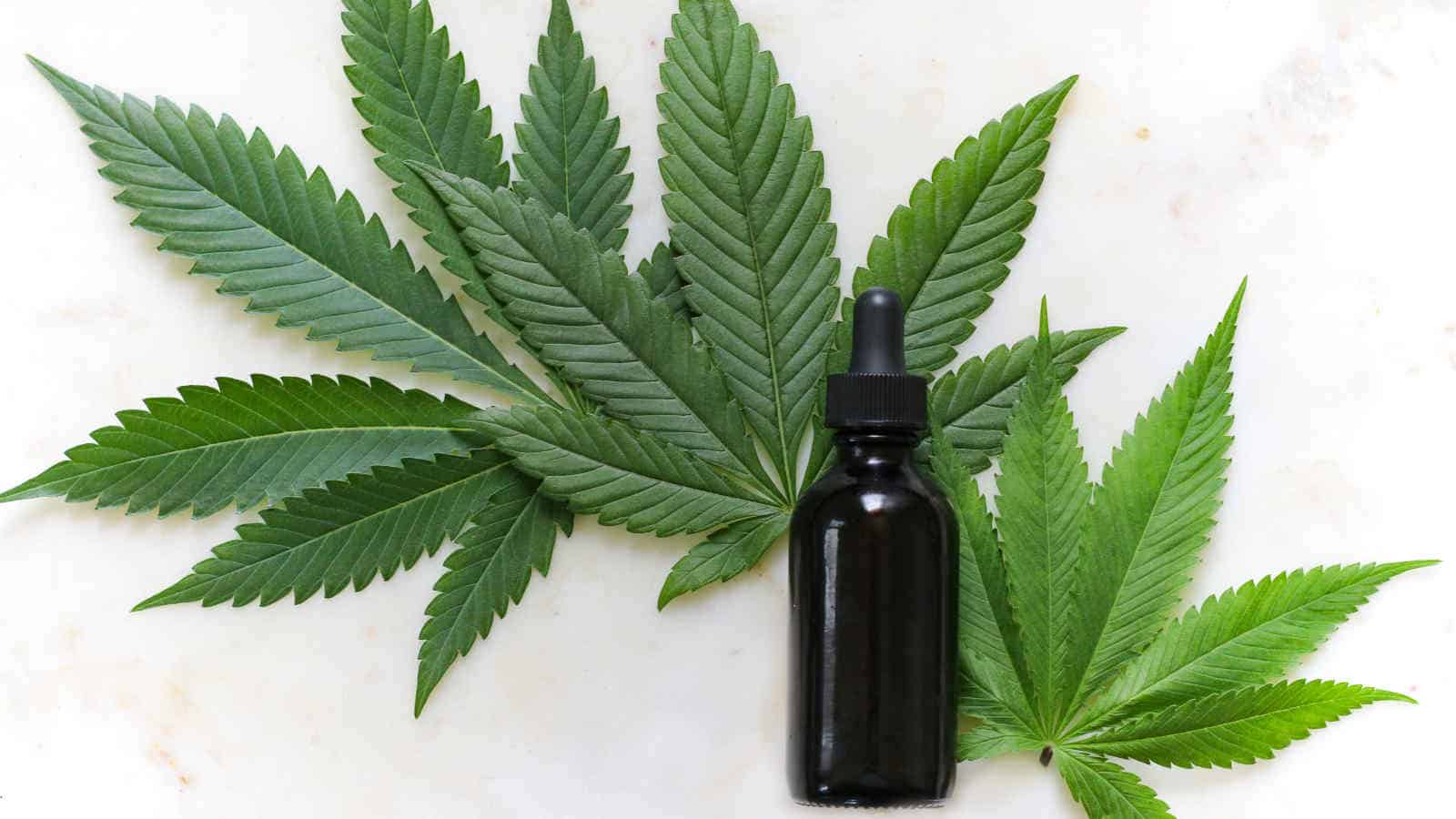 CBD hat nicht die berauschenden Stoffe wie THC