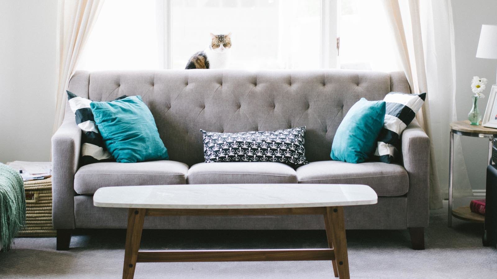 Sofa Reinigen Ultimative Anleitung Für Pflege