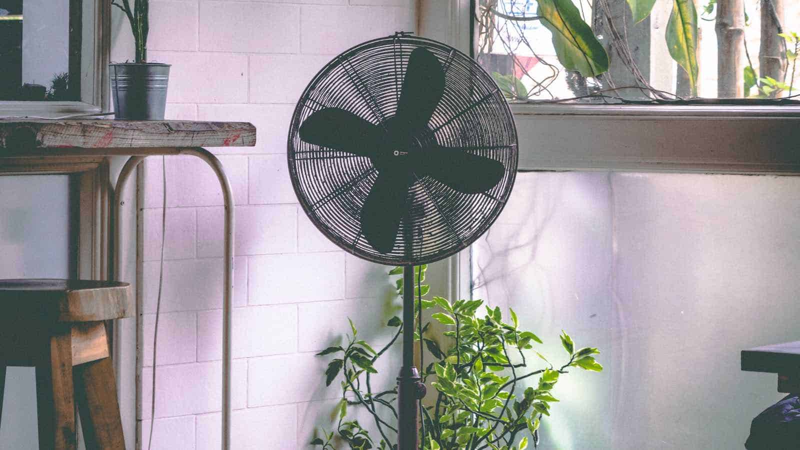 Was bedeutet Oszillation bei einem Ventilator?