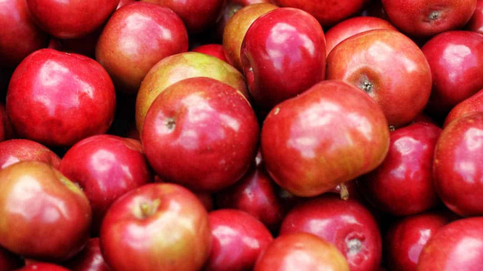 Apfelessig enthält Polyphenole, die die Hautzellen schützen können.