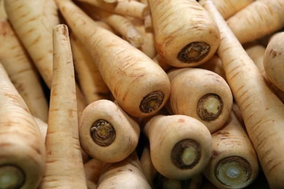 Die Pastinake spielt endlich wieder eine größere Rolle in der Küche. | Bildnachweis: Adobe Stock @ normankrauss