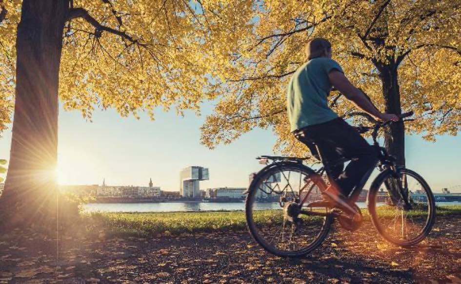 Wichtiger Faktor neben der Ernährung- Auch in Herbst und Winter aktiv bleiben. | Bildnachweis: Adobe Stock @ rcfotostock