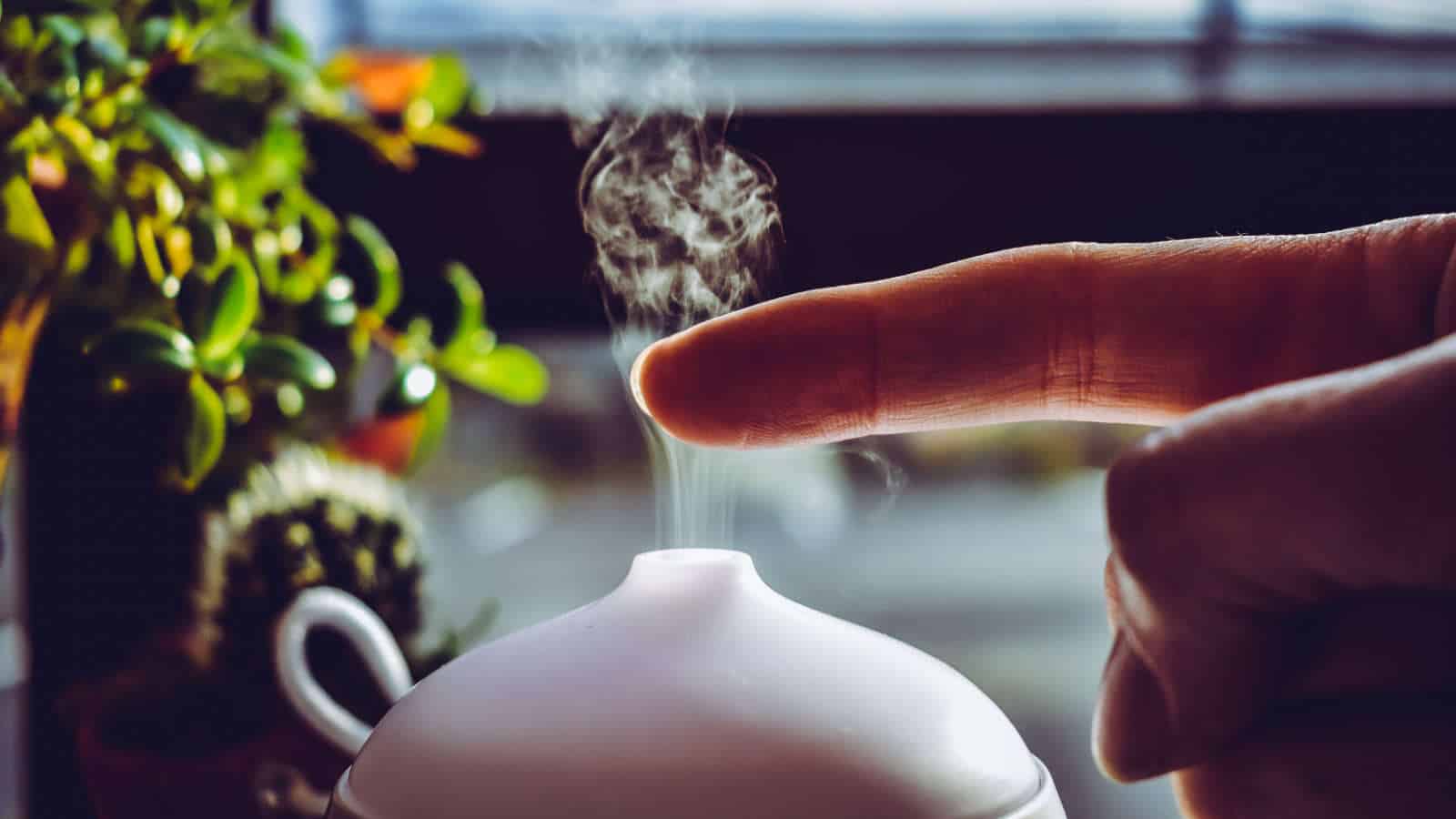 Ein Diffusor sollte nicht mit einem Luftbefeuchter verwechselt oder alternativ verwendet werden