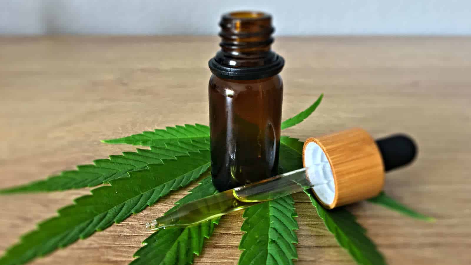 CBD – Öl Ratgeber | Tipps und Tricks