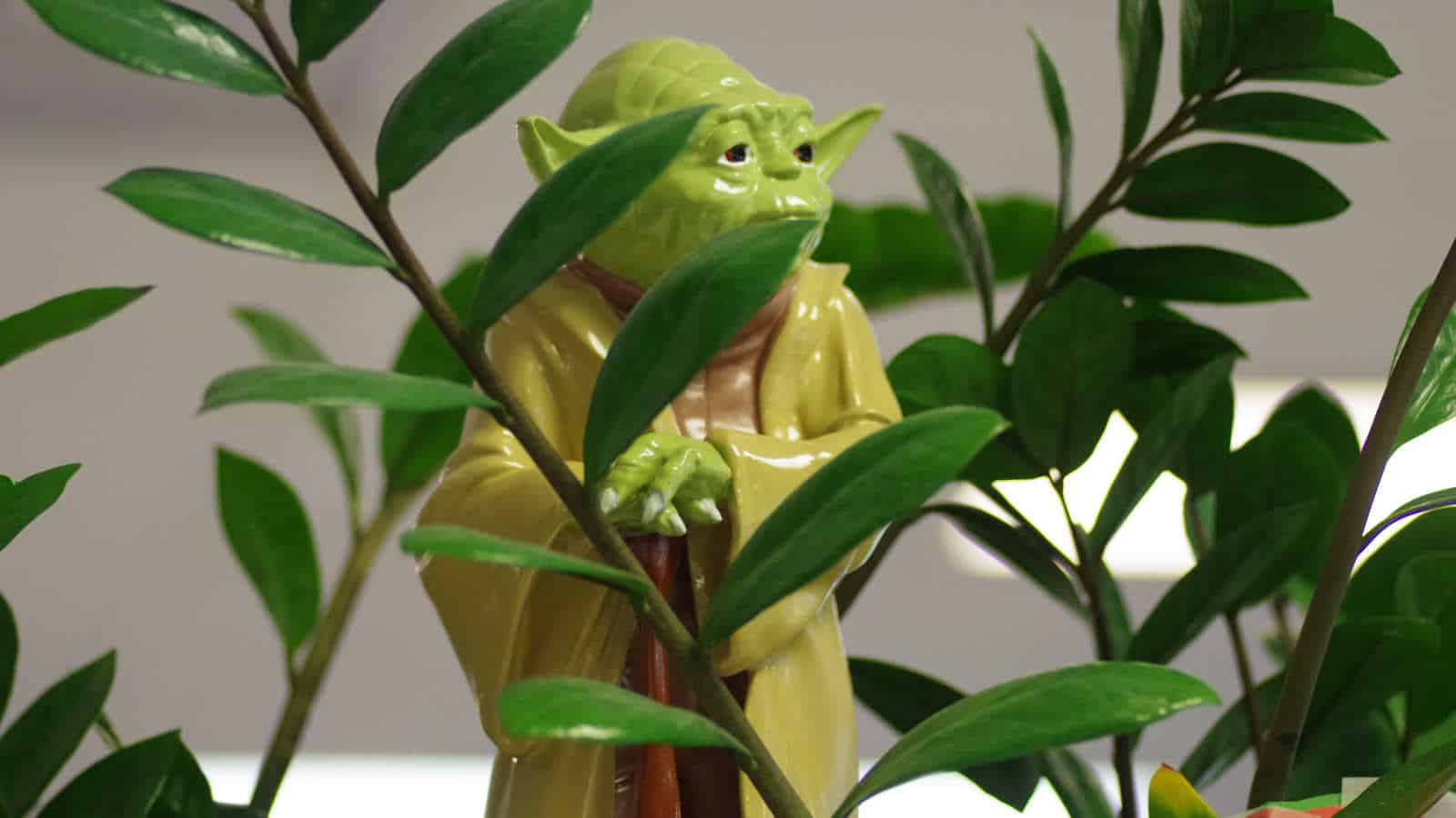 Durch den witzigen Sprachstil, können so lustige Yoda Sprüche kreiert werden.