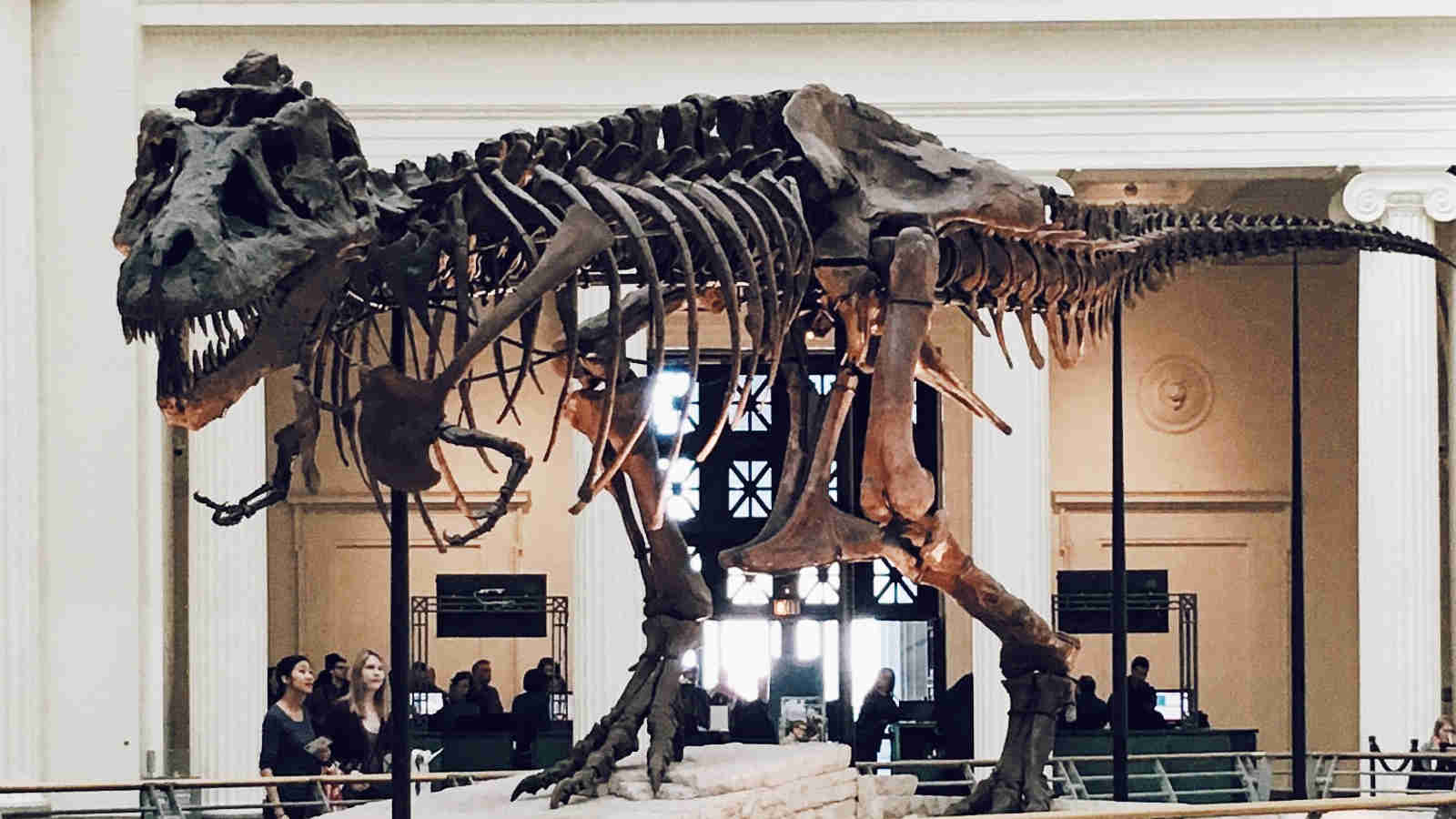 Eine Nacht im Museum