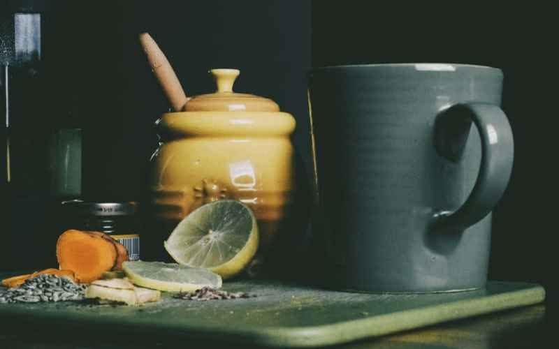 Flöhe bekämpfen mit Hausmittel