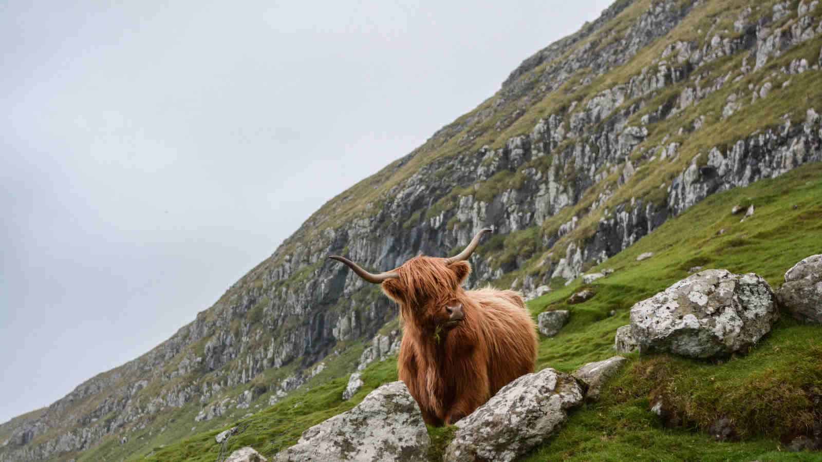 Schottisches Hochland