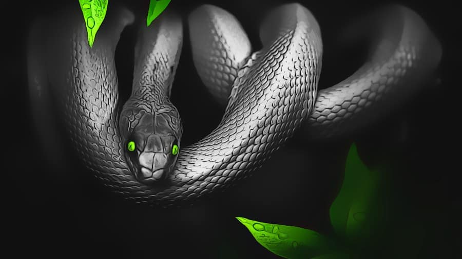 Was bedeutet Ouroboros im Traum?