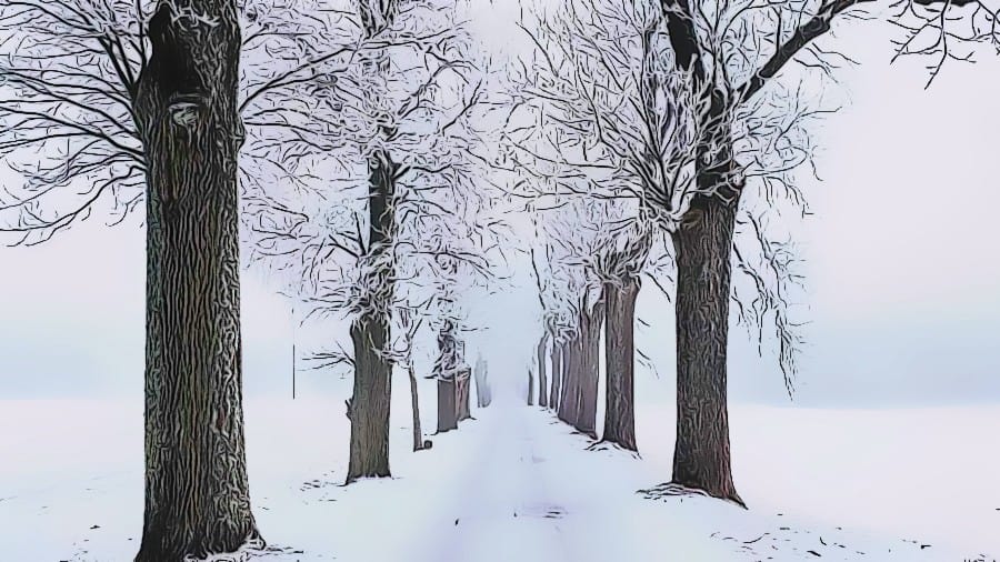 Weißer Schnee kann eine Reinheit ausstrahlen und unbewusstes Handeln