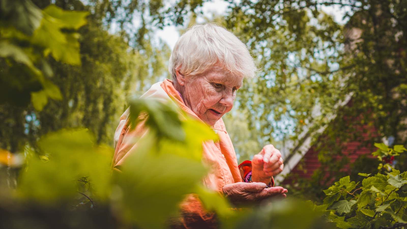 Demenzsymptome können bei einer sekundären Demenz zurückgebildet werden, wenn die Grunderkrankung behandelt wird. Deshalb kann ständiges Schlafen bei Demenz häufig auftreten.