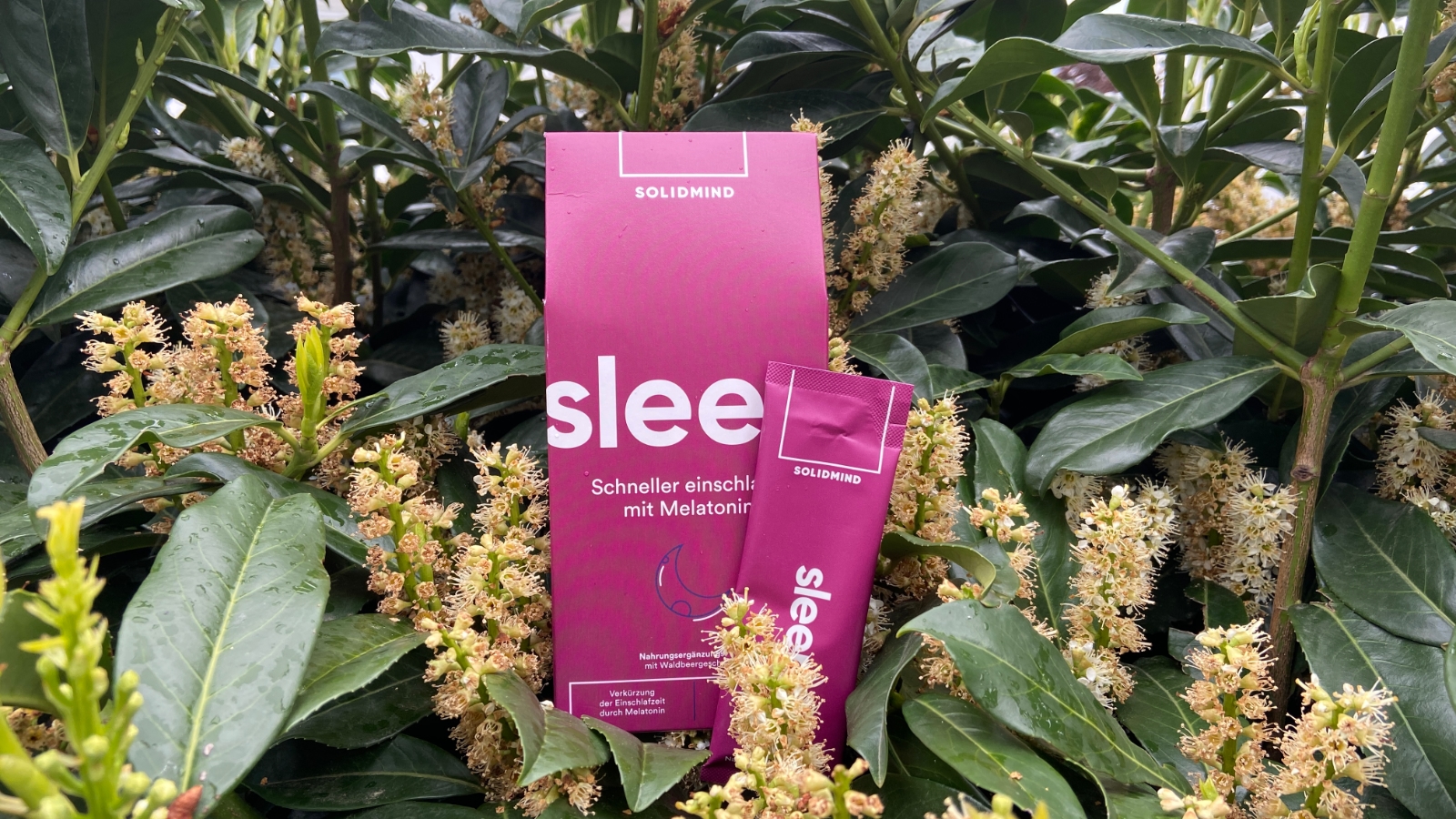 Sleep hilft beim Ein- und Durchschlafen